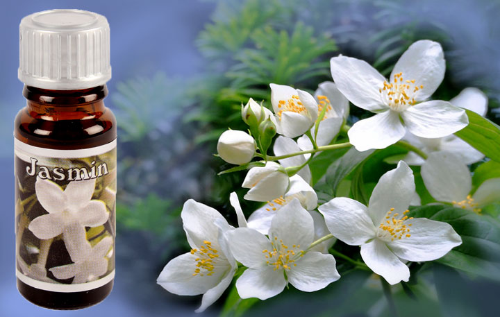 Duftöl Jasmin