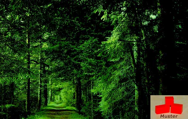 Wachsfarbe dunkelgrün