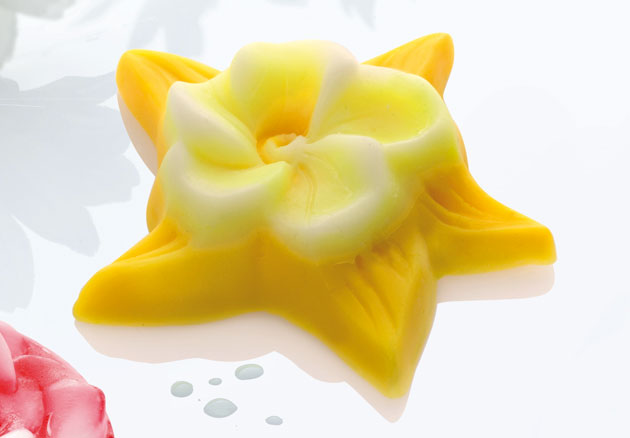 2384bdbe6aaac1447bce85e3d042a44c